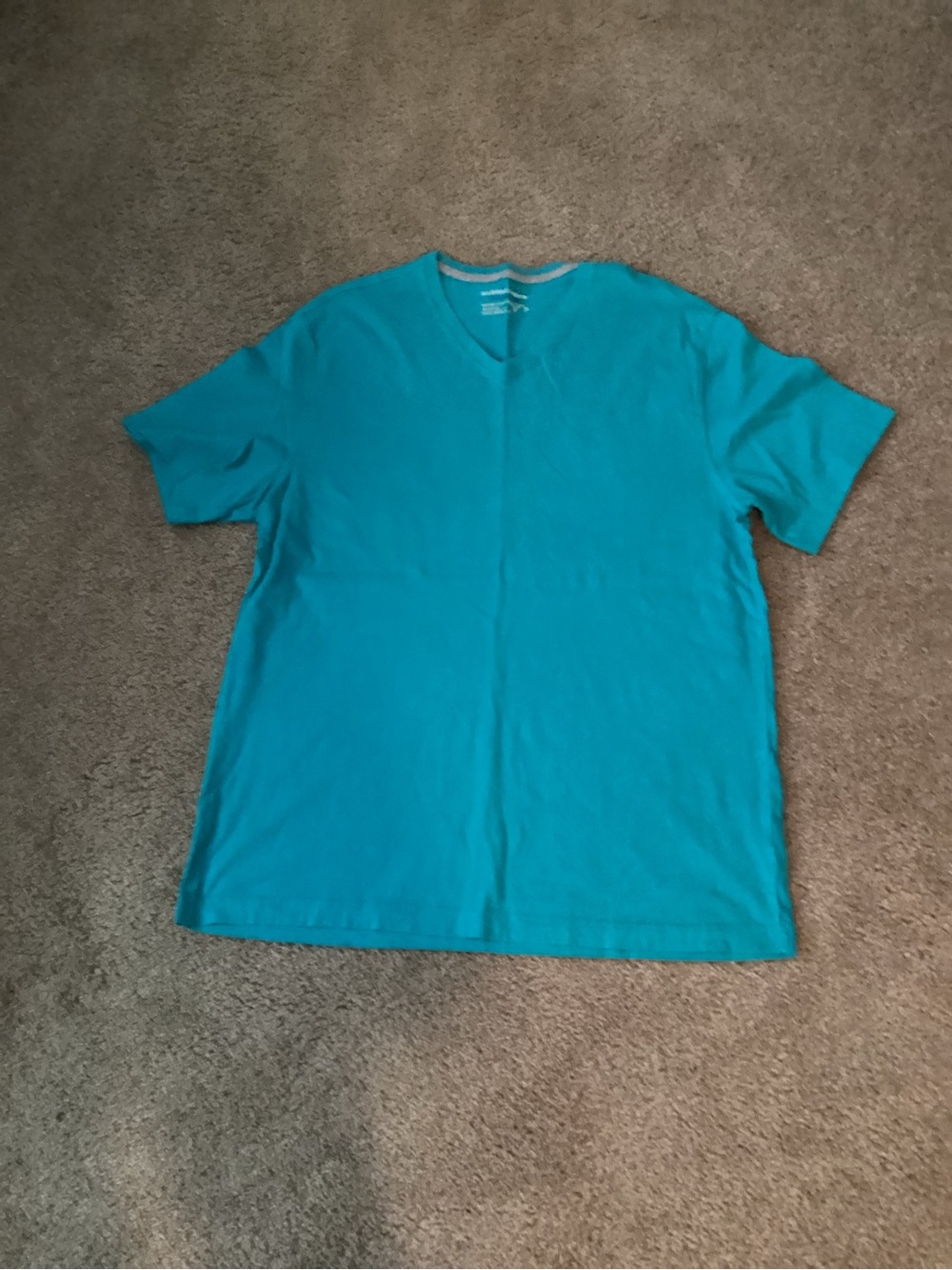 Saddlebred V-Neck Short Sleeve Tee in Bright Teal